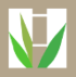 Evergreen Lifestyle bamboo